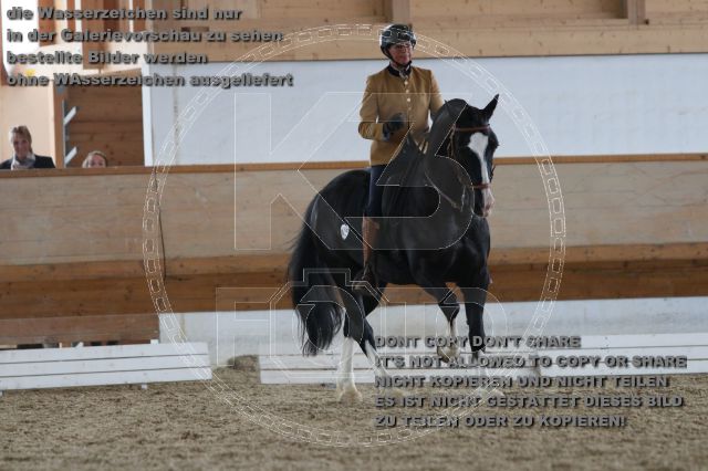 s_IMG_9937.JPG